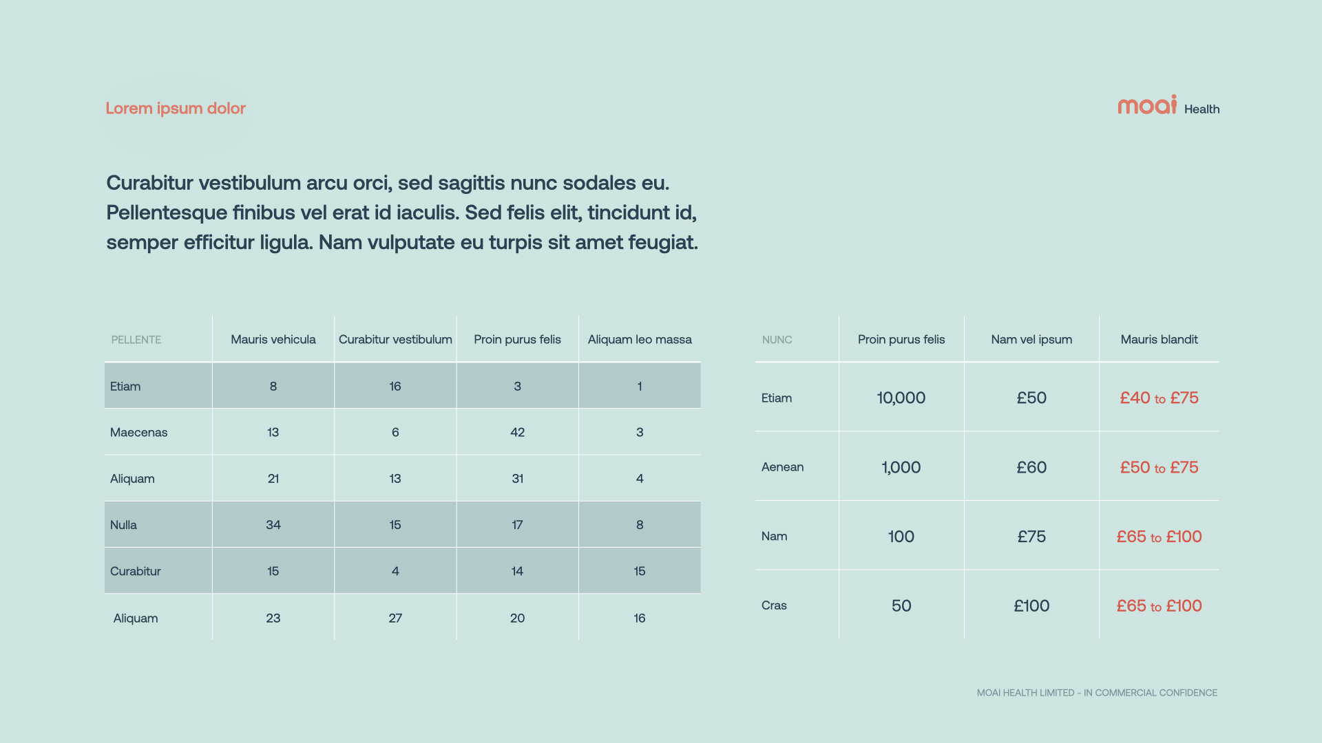 A slide from the mental health startup pitch deck