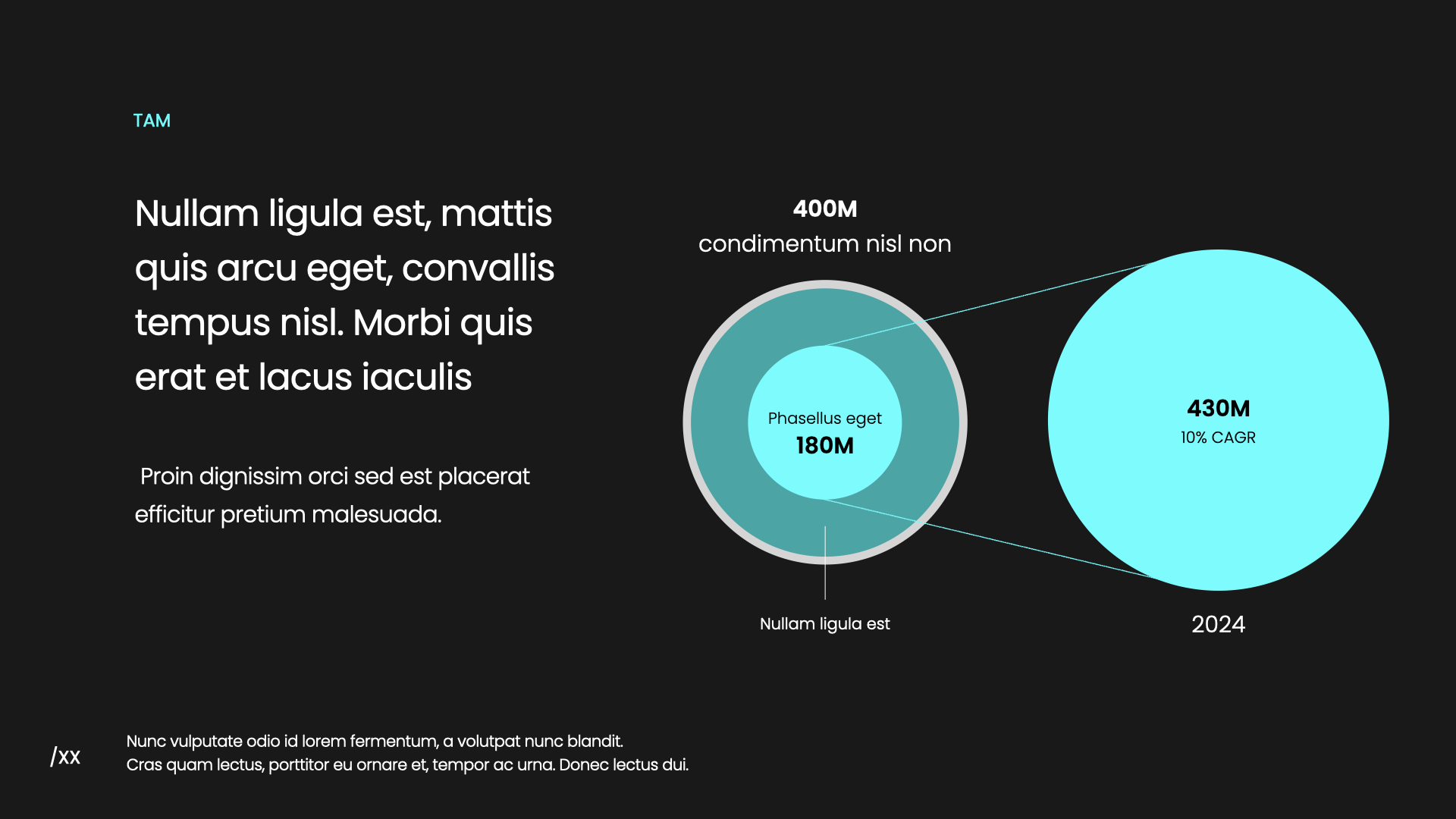 A slide from the music app pitch deck
