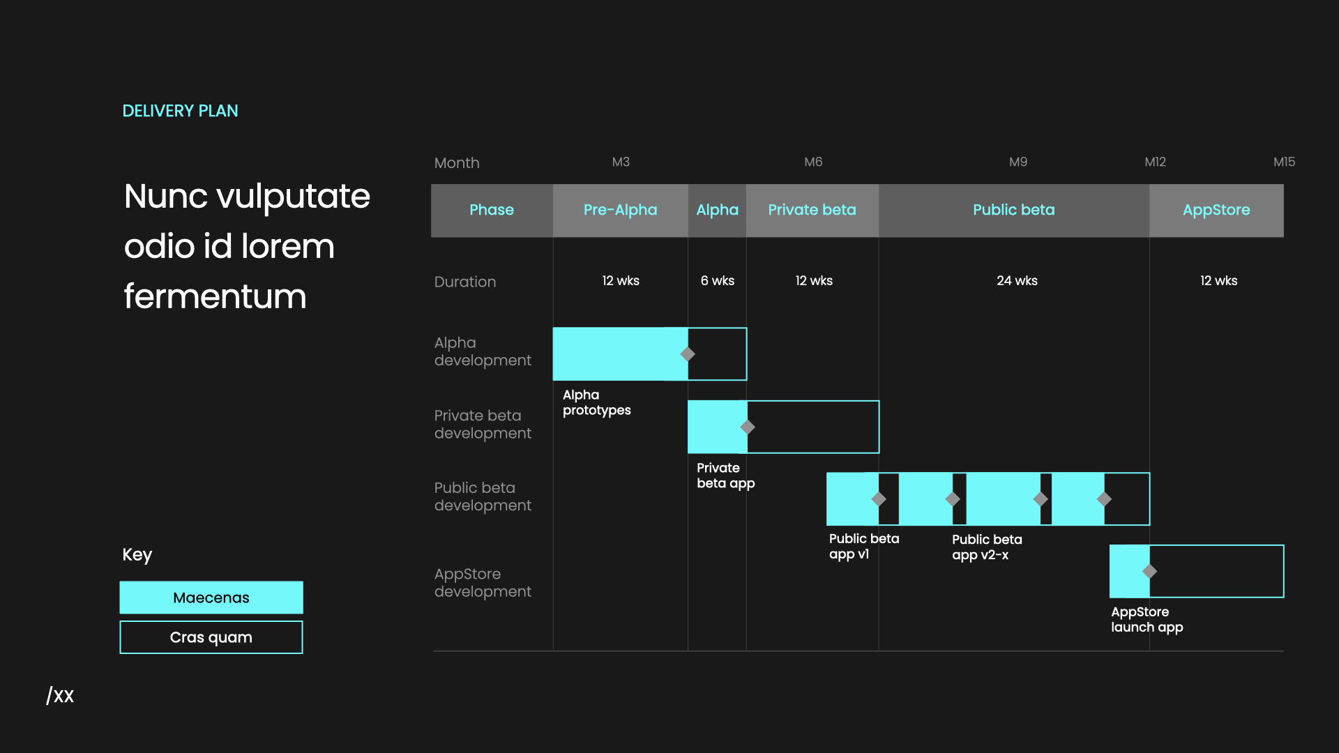 A slide from the music app pitch deck