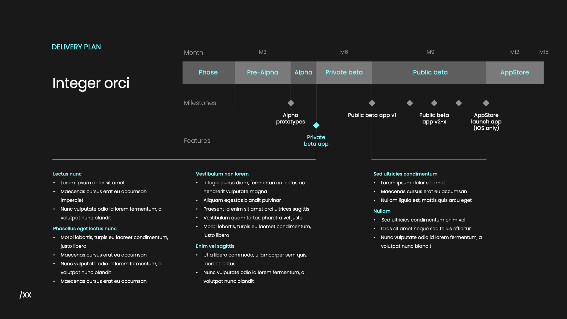 A slide from the music app pitch deck